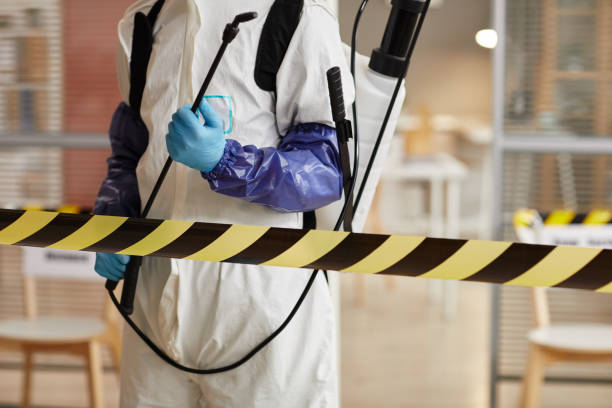 Professional Hoarding Cleanup technician working in Inez, TX